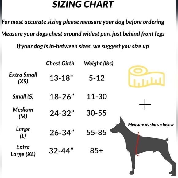 ShawnCo Essential Dog Harness, No-Pull Pet Vest with 3 Leash Clips, No Choke, - Picture 2 of 2